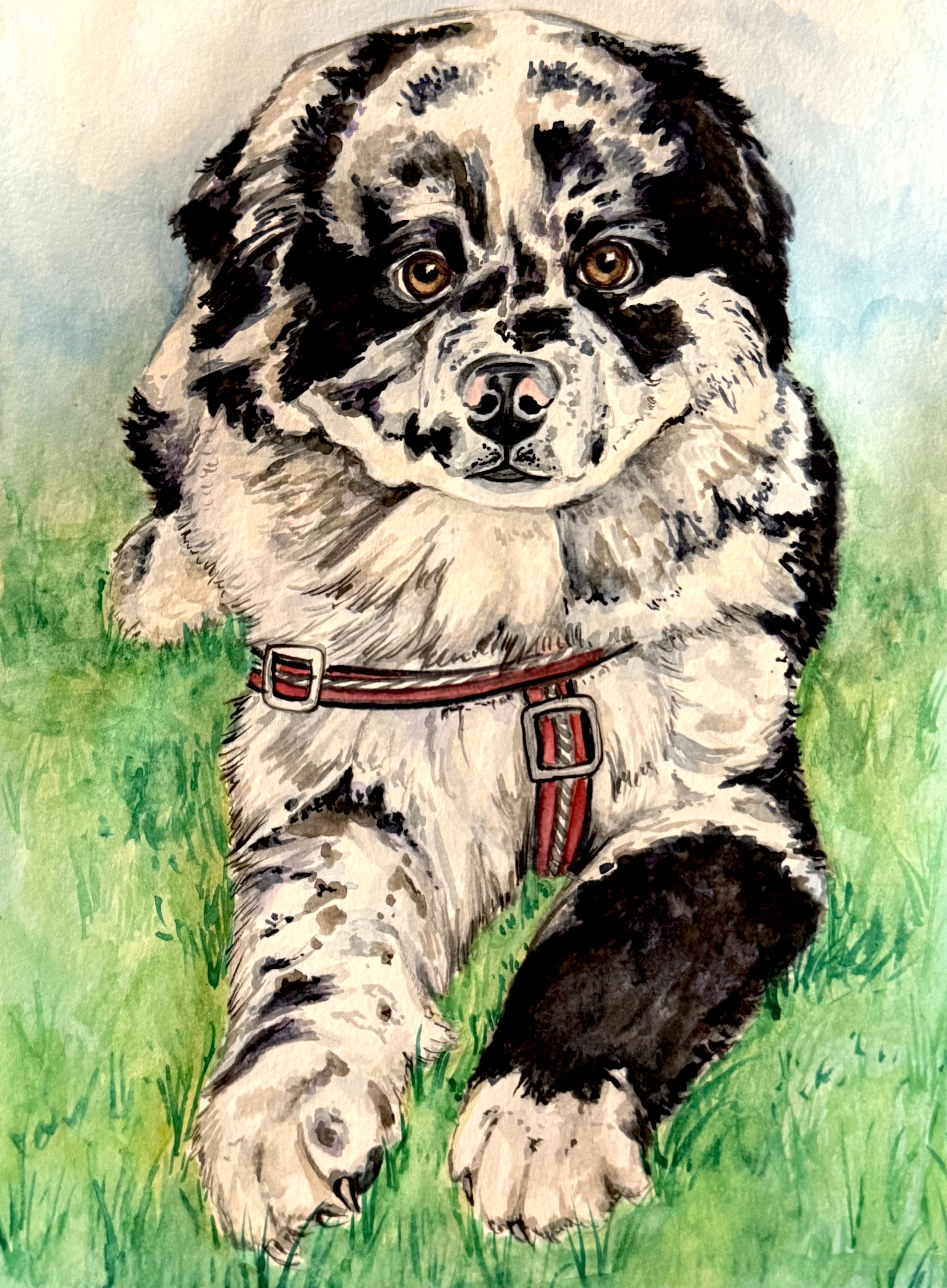 Rory