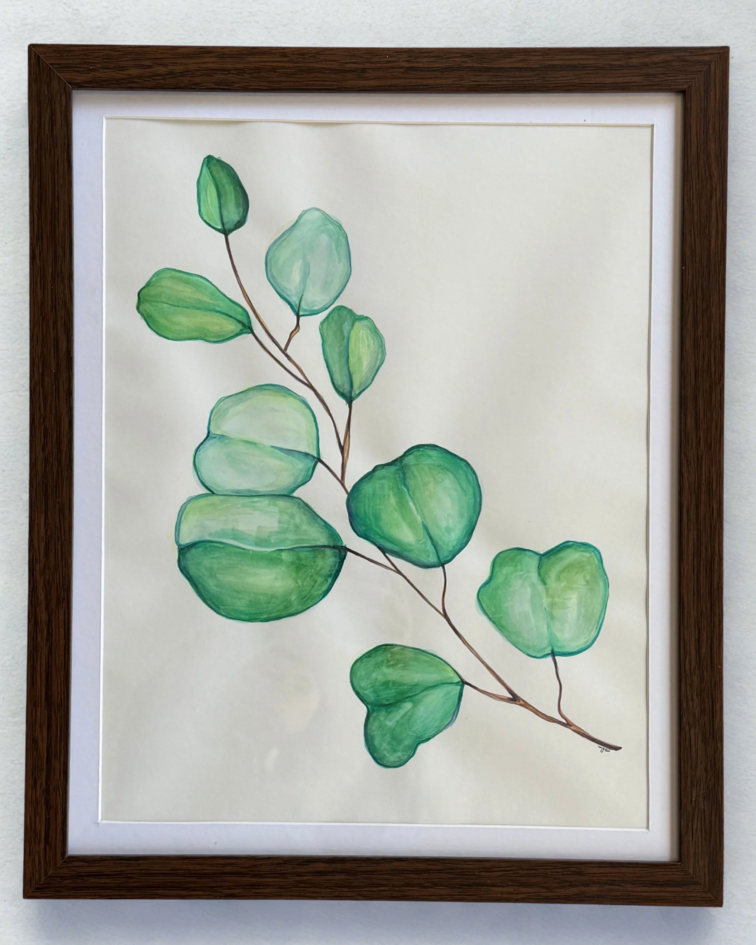 Eucalyptus