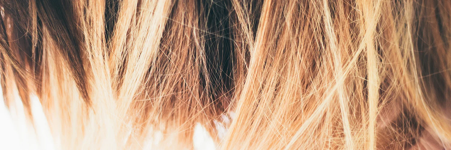 jr-parlor-hair-1.jpg