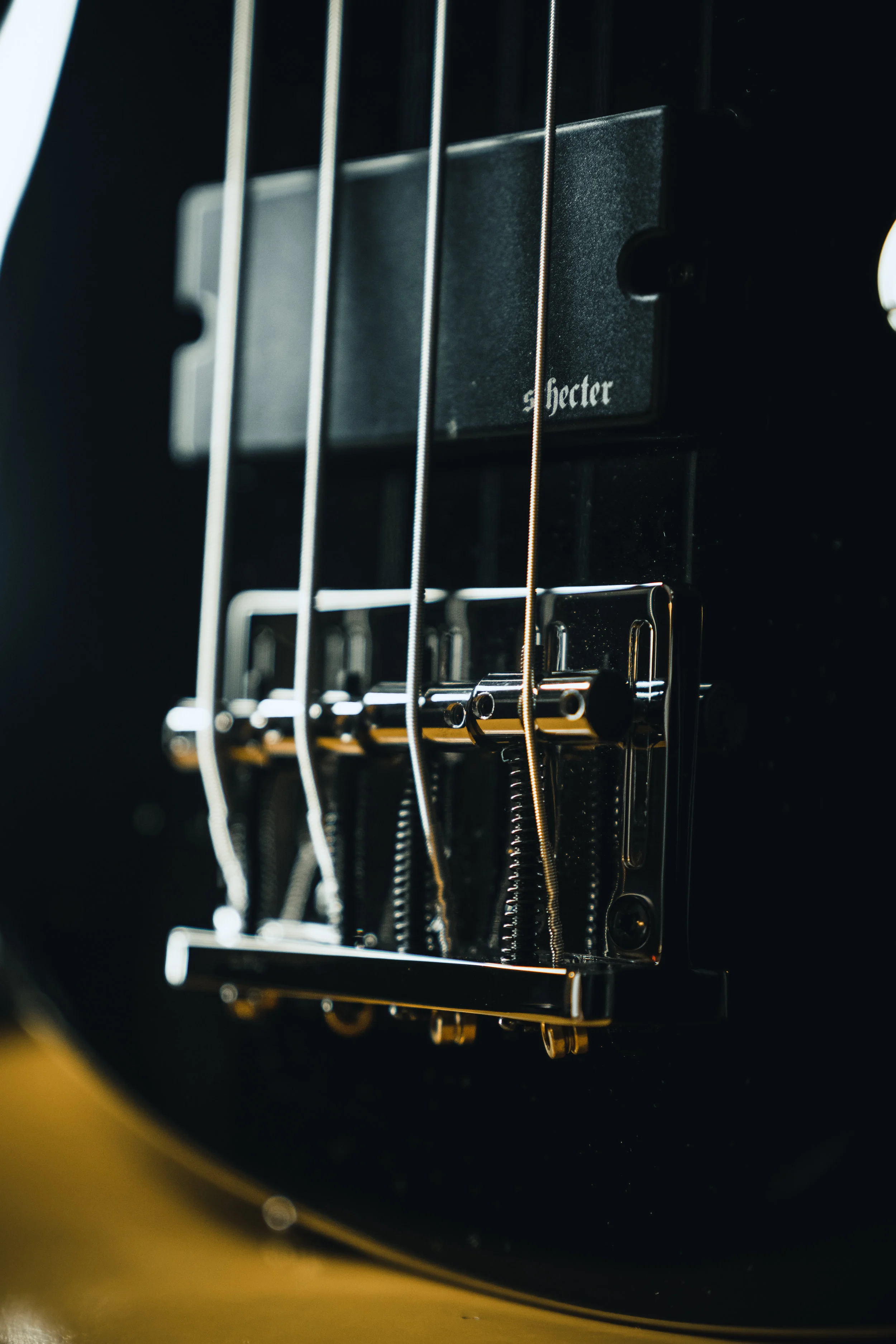 Schecter Active Pick Up
