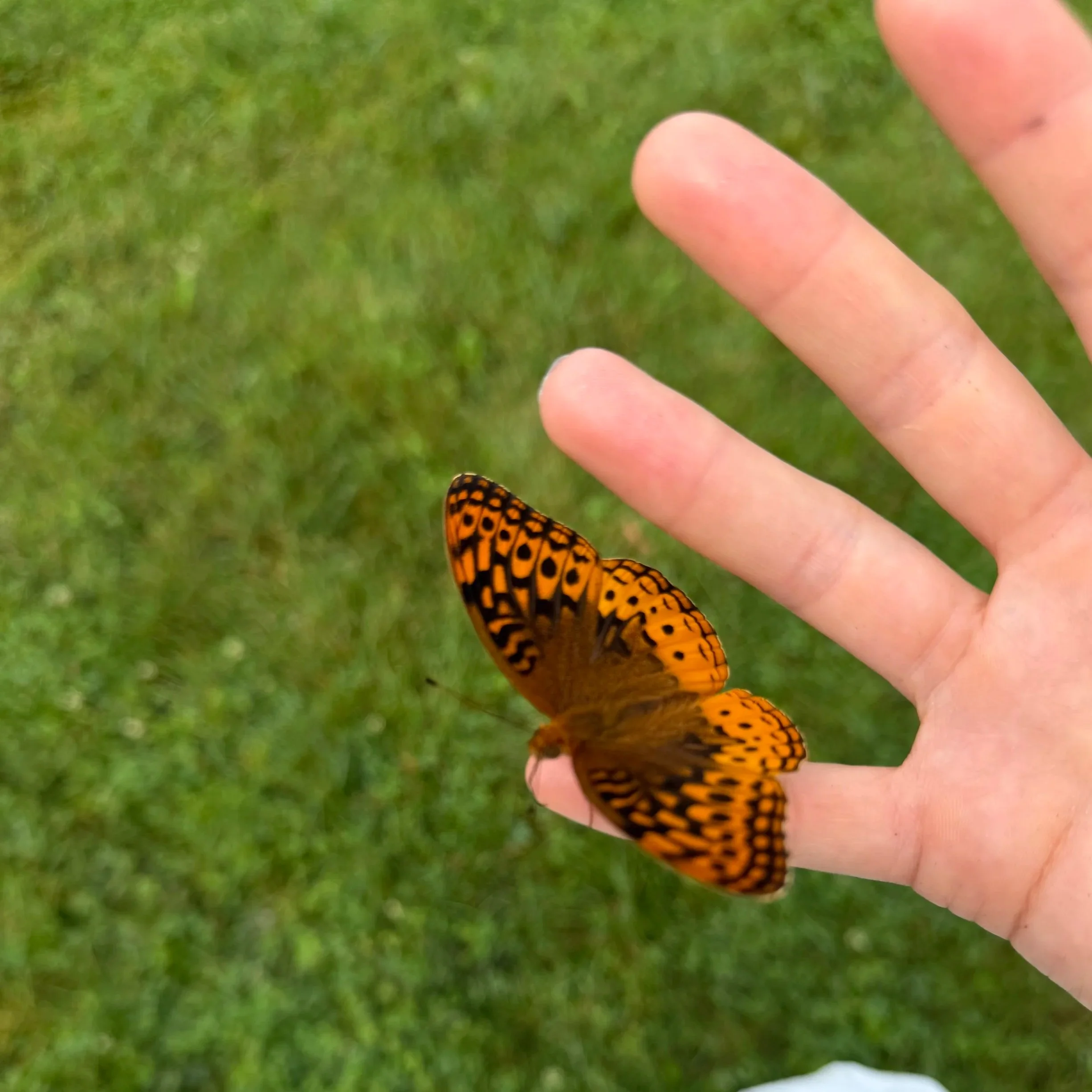 IMG_3328.jpg