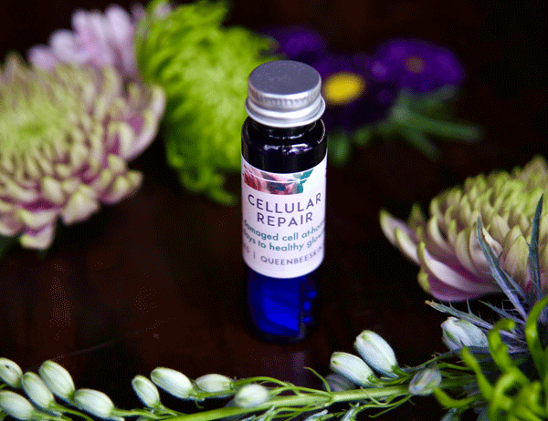 cellrepair_glamourshots+(3).gif