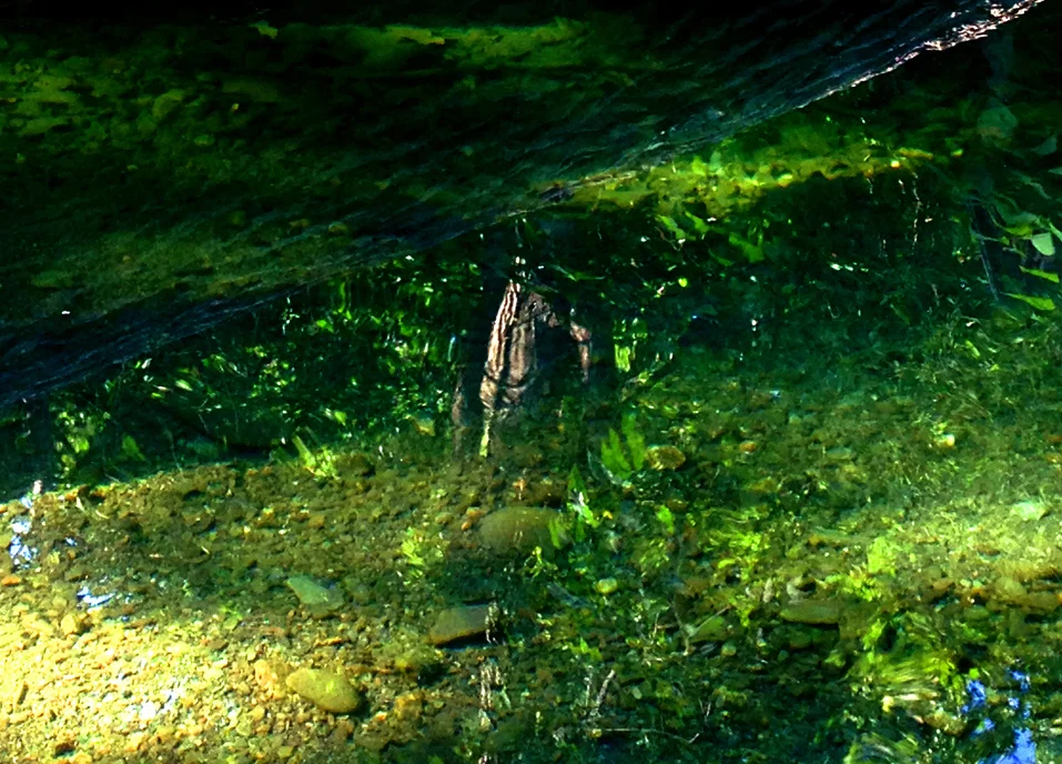 emeraldcreek1.jpg