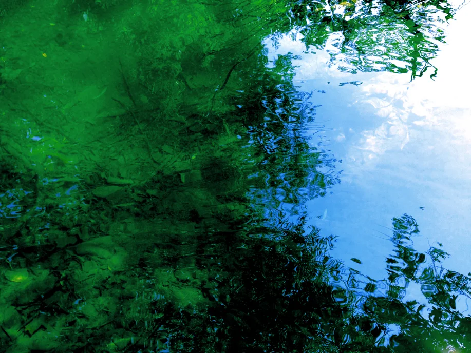 emeraldcreek6.jpg
