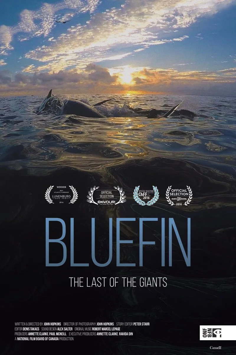 Bluefin