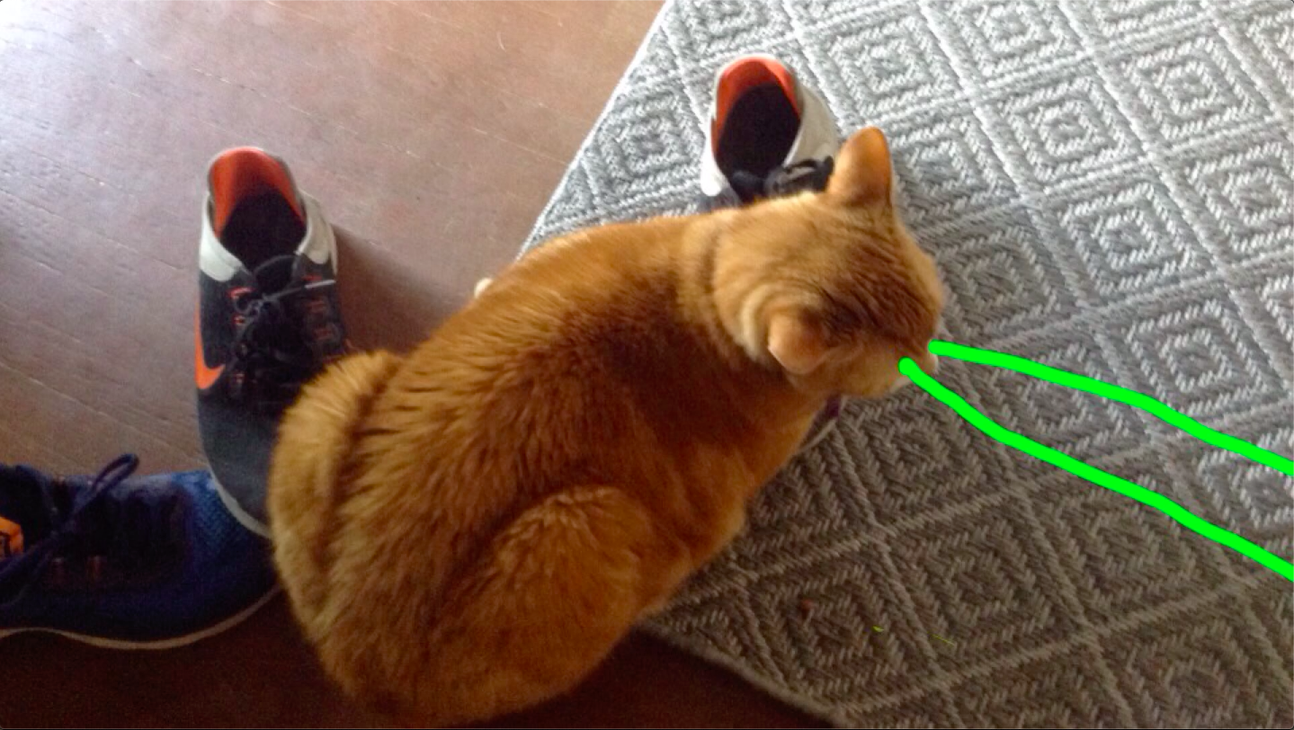 Tiny Food Docs by Tiny Food People