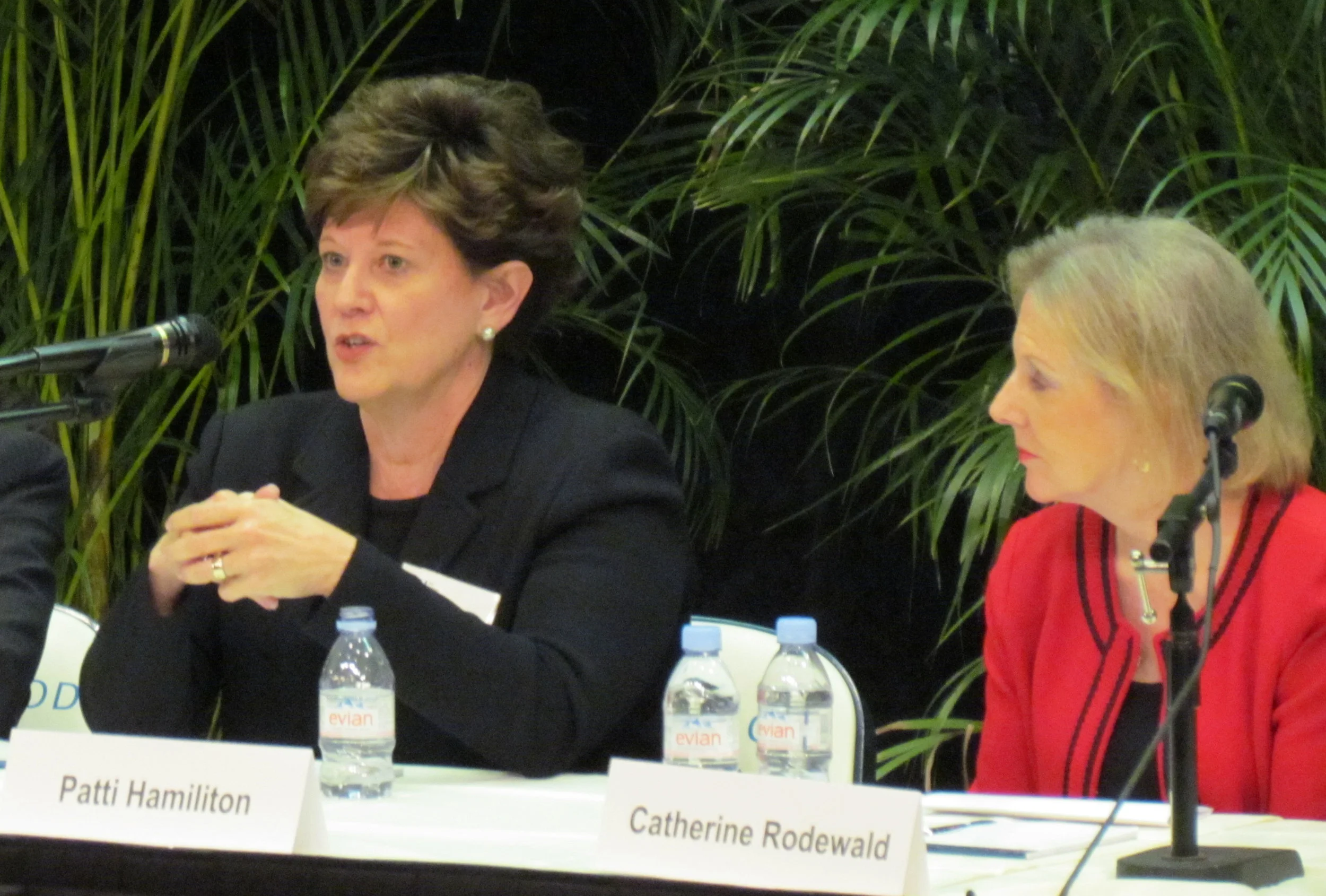 Patti-Hamilton-Shares-Insight-as-Catherine-Rodewald-Looks-On-11-7-2014.jpg