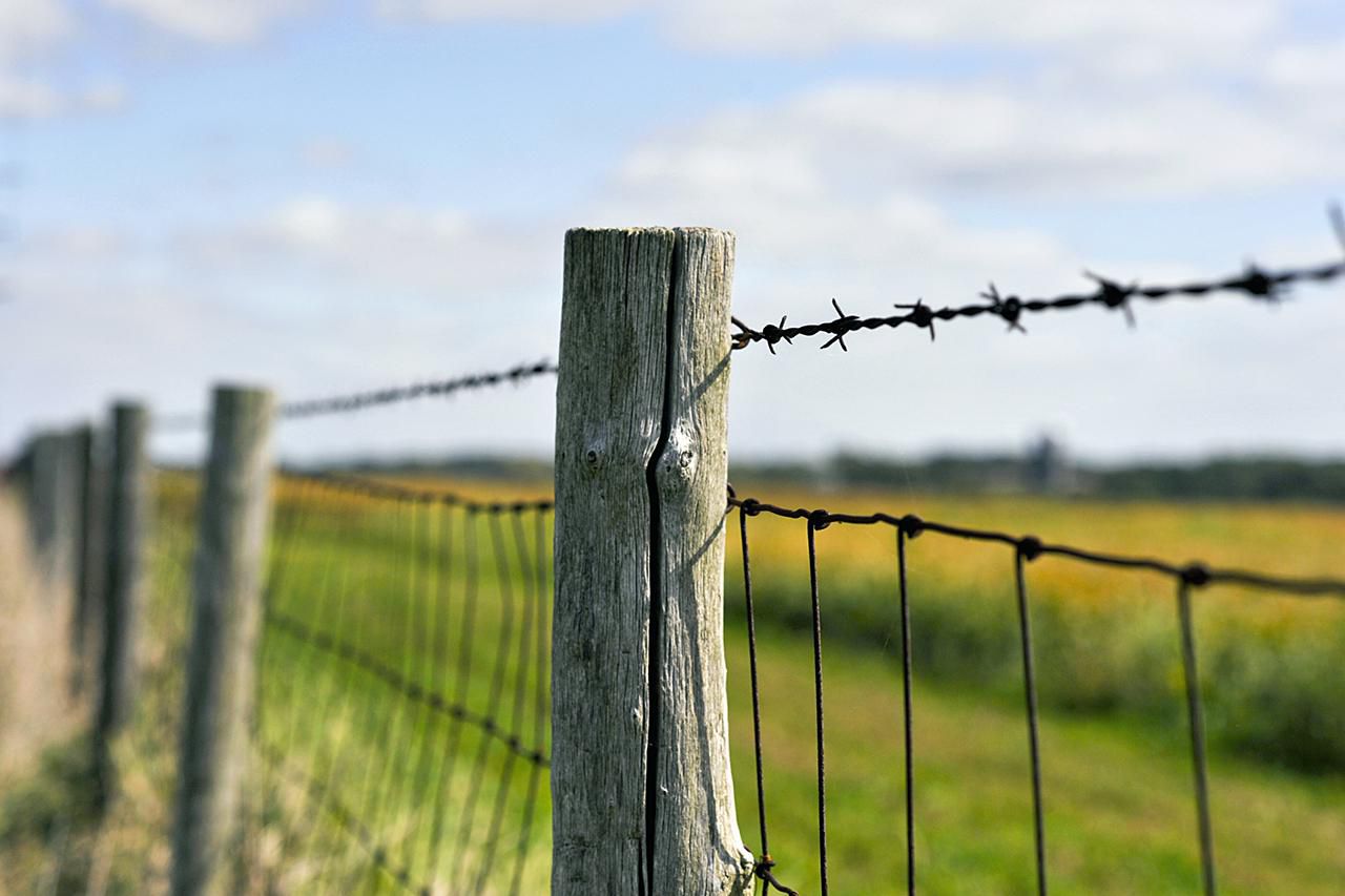 barbed-fence-resized-56a885815f9b58b7d0f30bfd.jpg