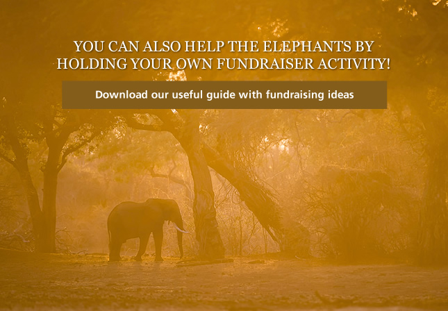 Fundraising.jpg
