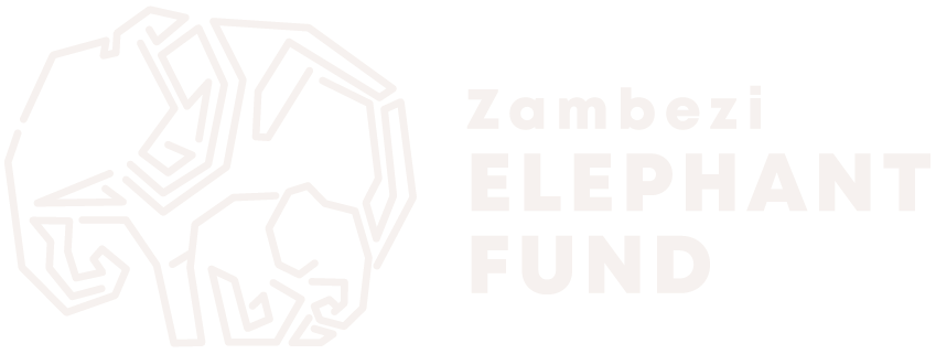 Zambezi Elephant Fund