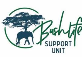 BSU Logo.jpeg