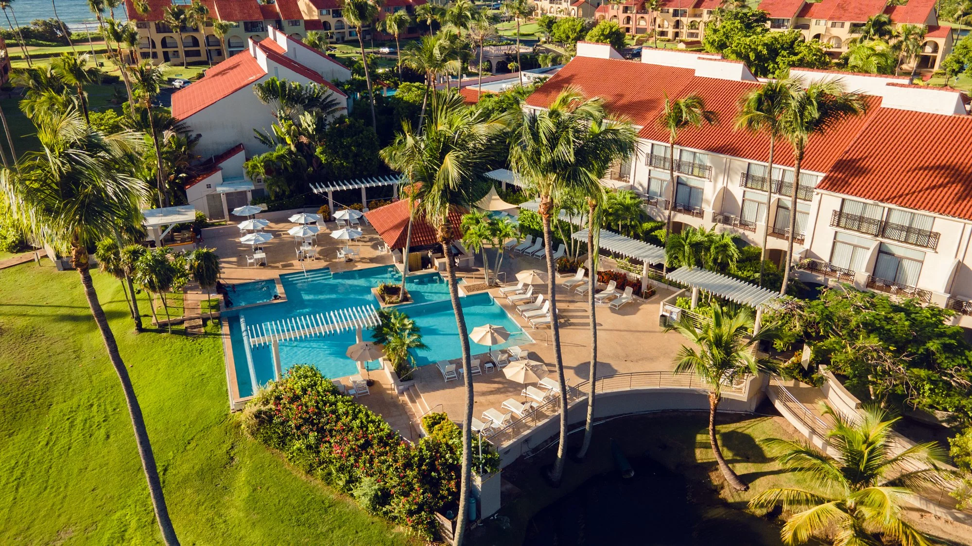 DJI_0169-1.jpg