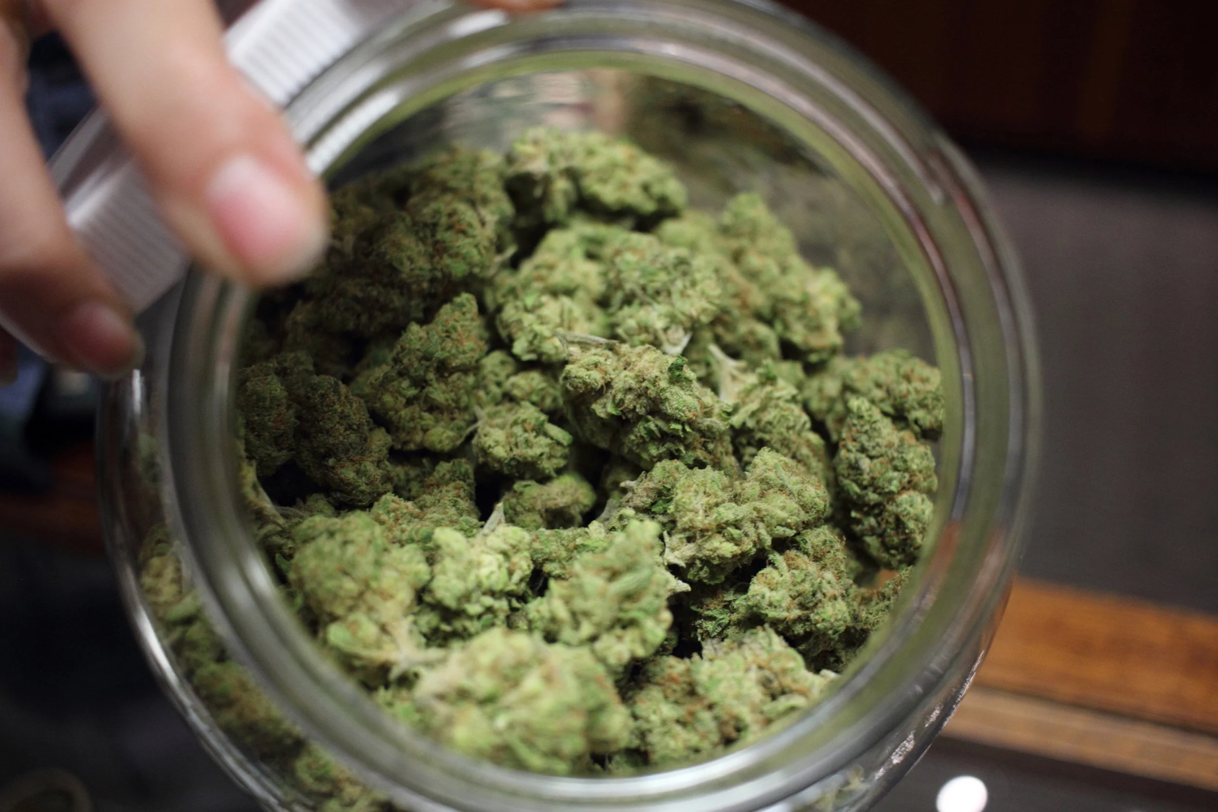 Marijuana Cannabis Staff Background 2.JPG