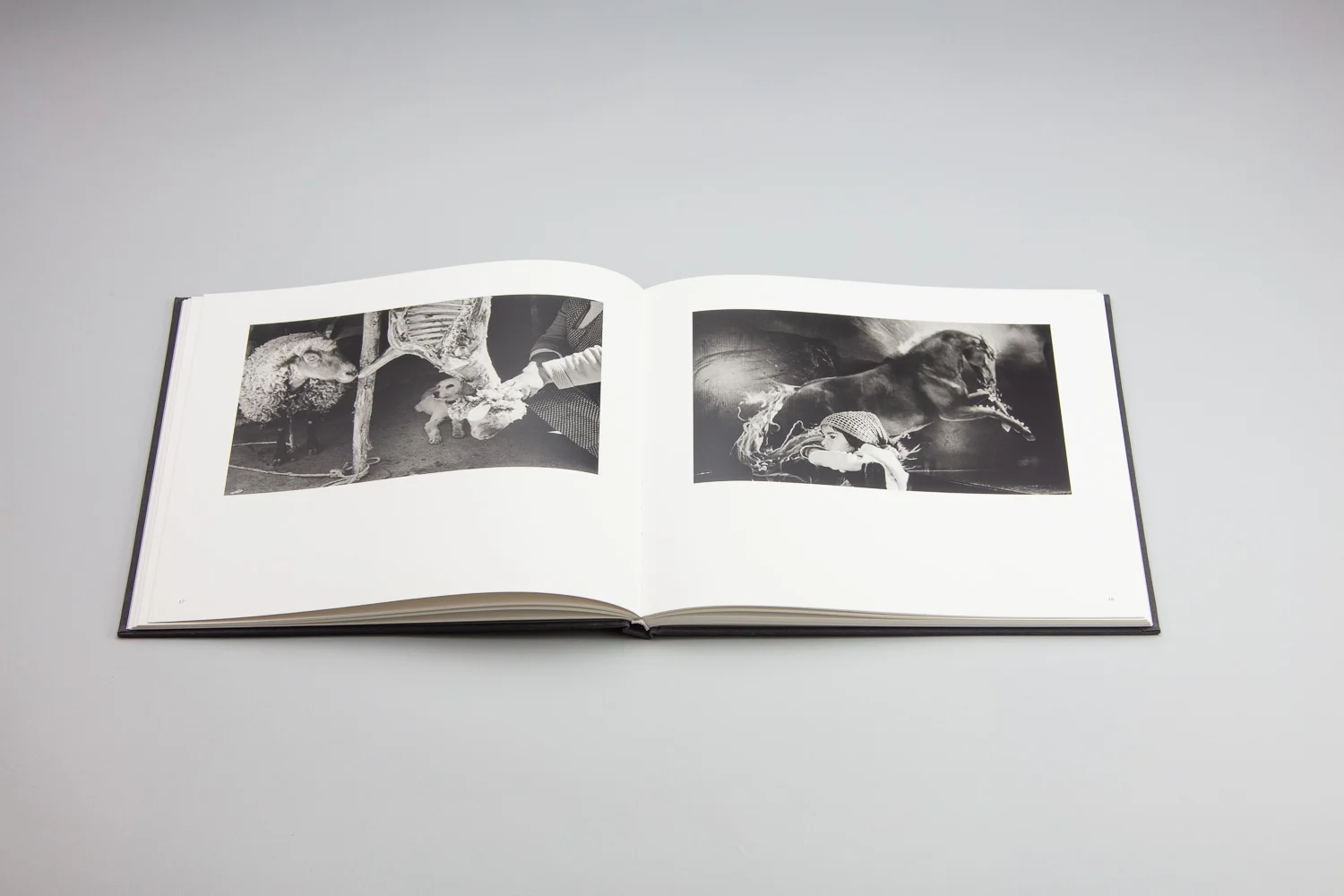 RS-With animals spread double.jpg