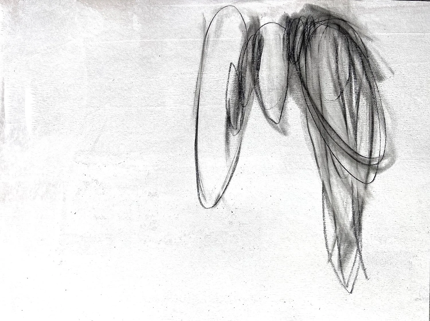 Drawing, 2022  12" x 9"  pencil and gesso on paper