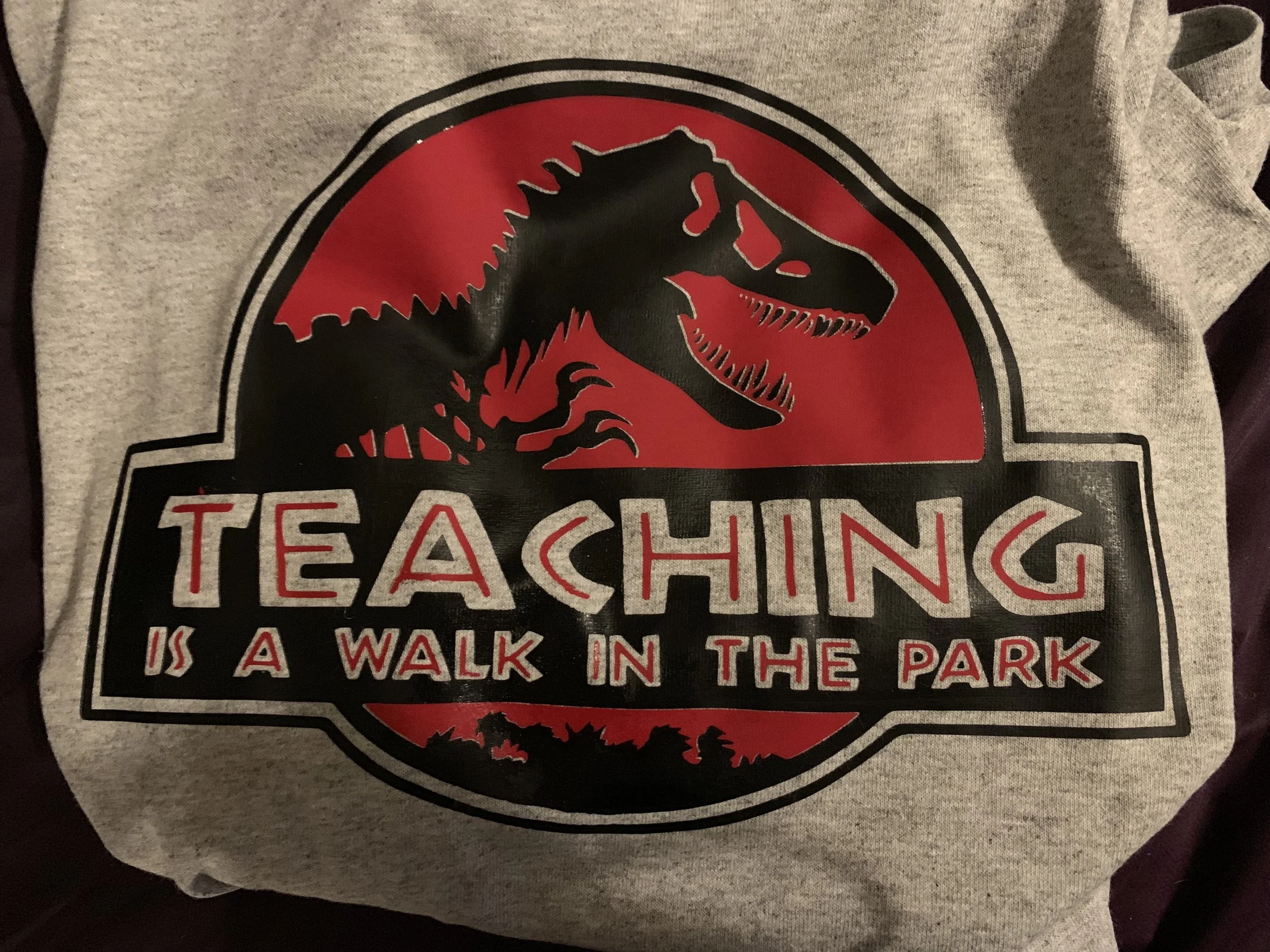 Sam’s awesome t-shirt she made for me!!