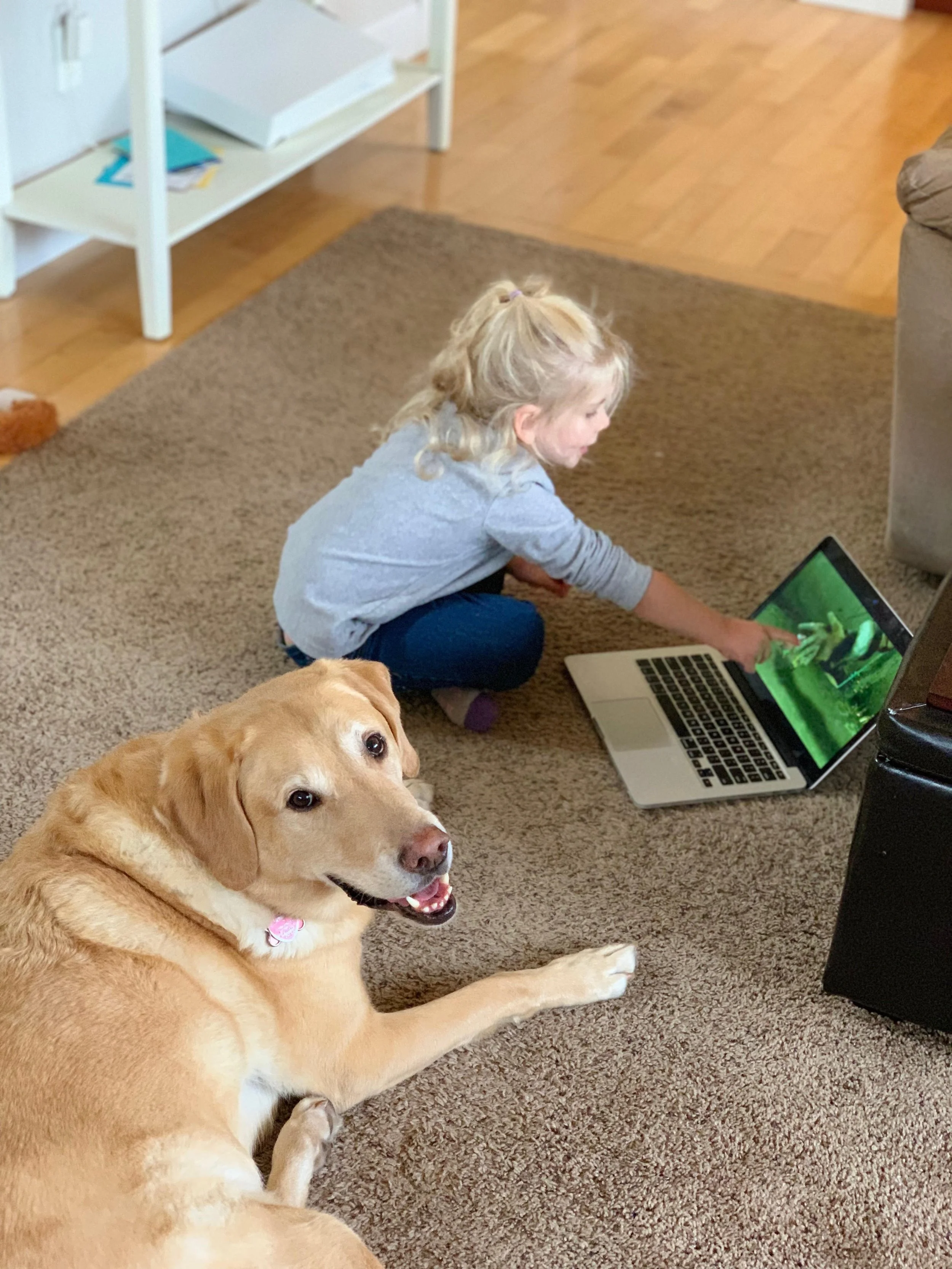 our four-year-old niece, georgia, is explaining the plot to a spongebob squagepants episode to a patient and loving jack.