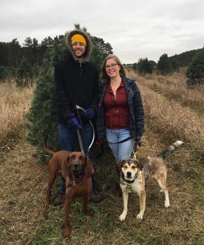 looking for a christmas tree