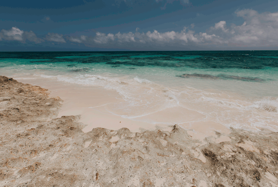 beach.gif
