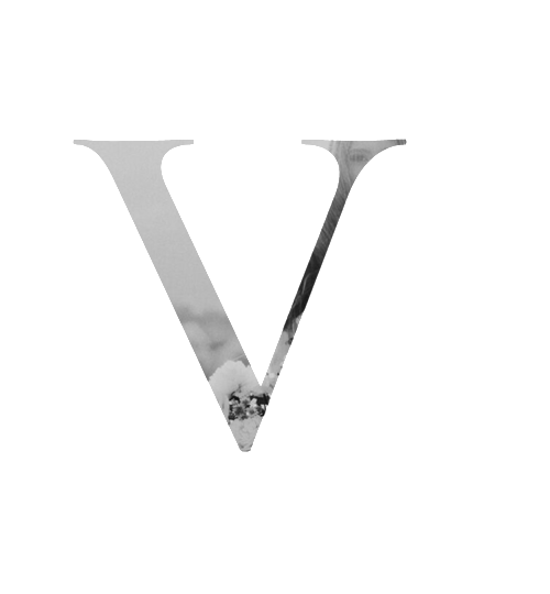 V-Graphic-home-2.png