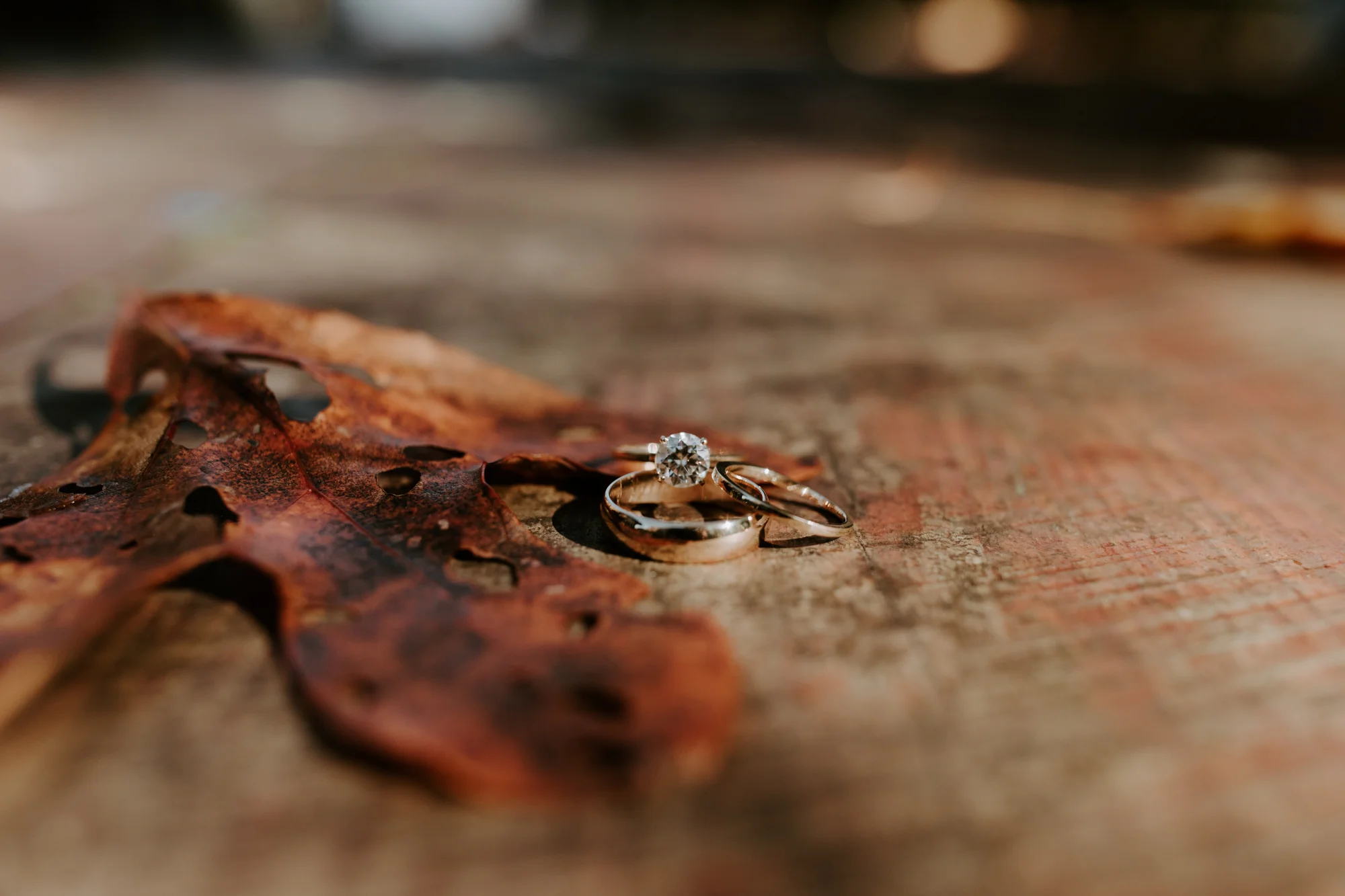 conservatory_wedding-1-38.jpg