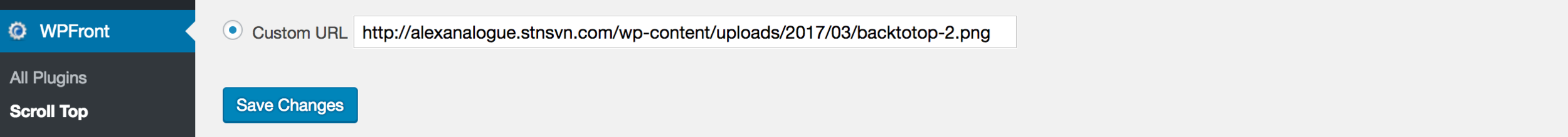 WPFront Custom.png