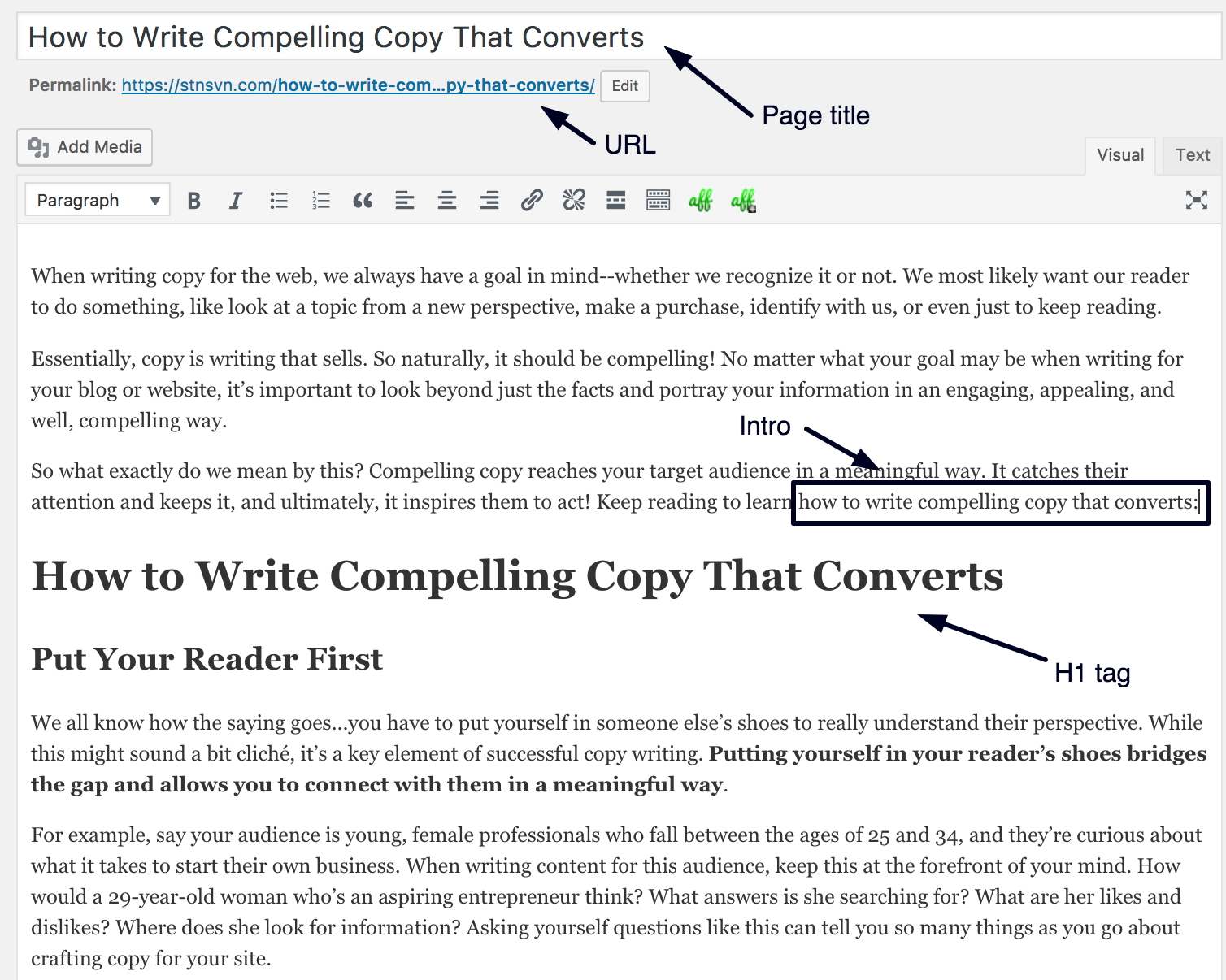 Elements-of-a-Perfectly-Optimized-Blog-Post.png