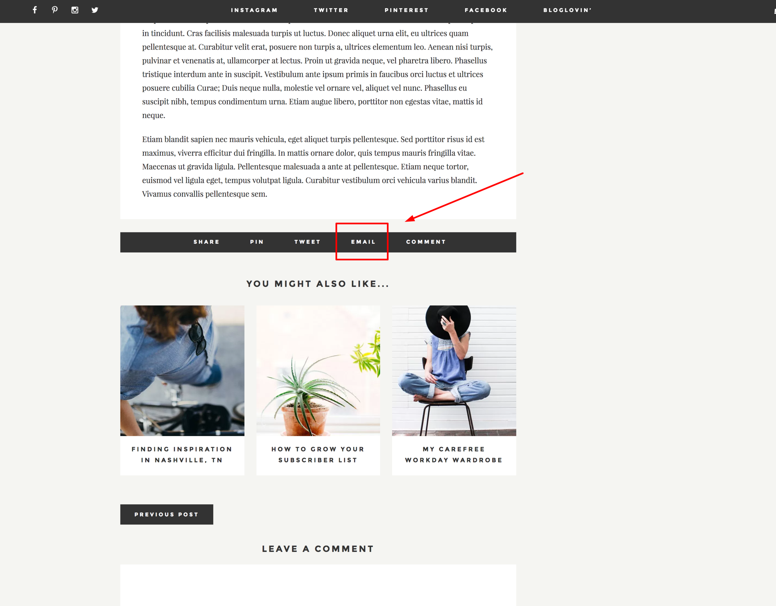 monstera_displaynone_email.png