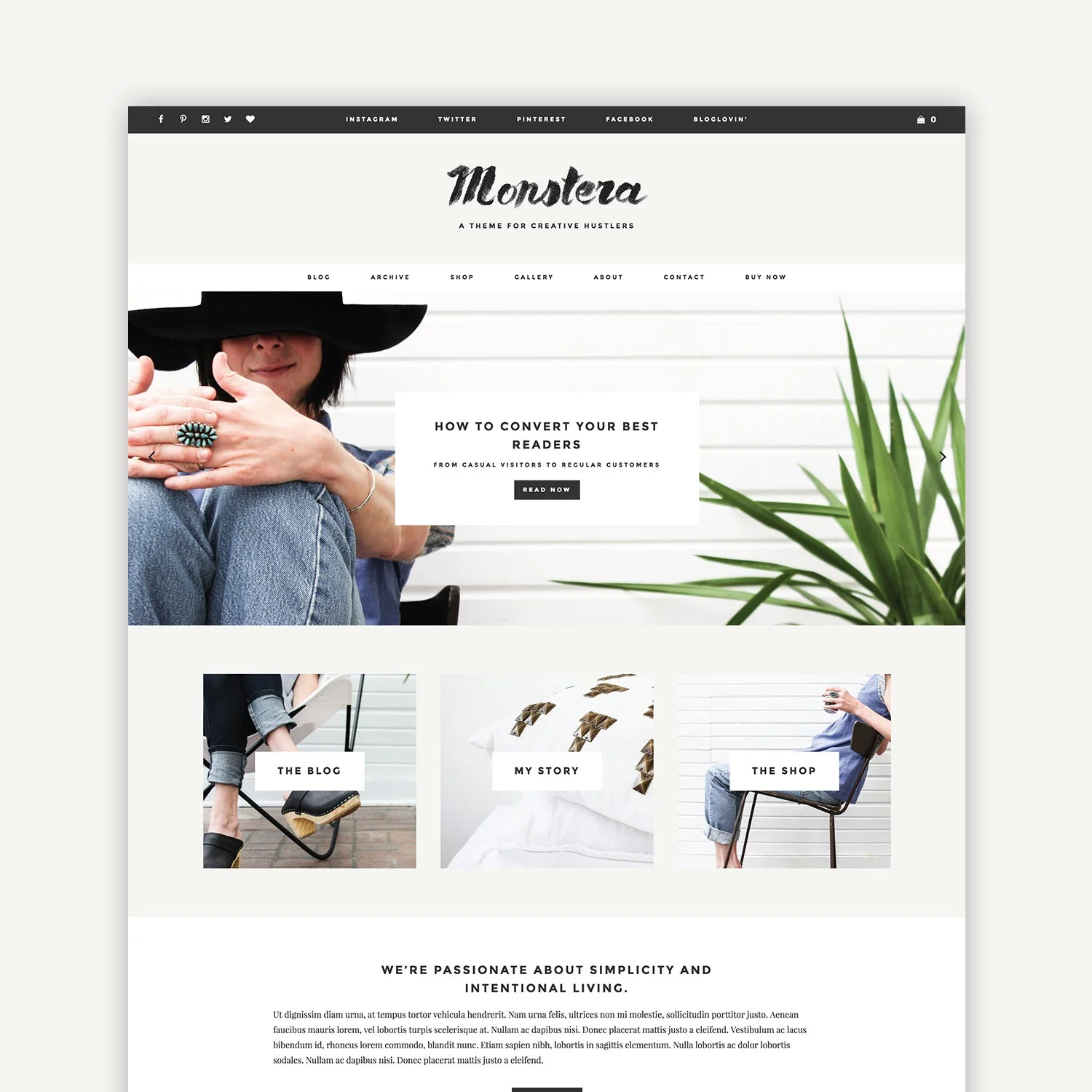 display-monstera.jpg