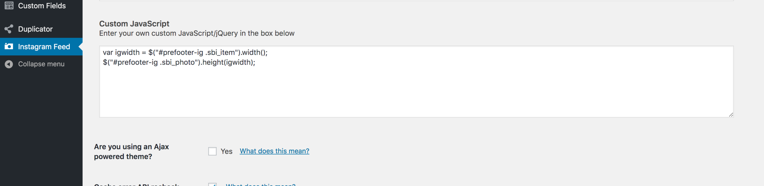 custom_javascript.png