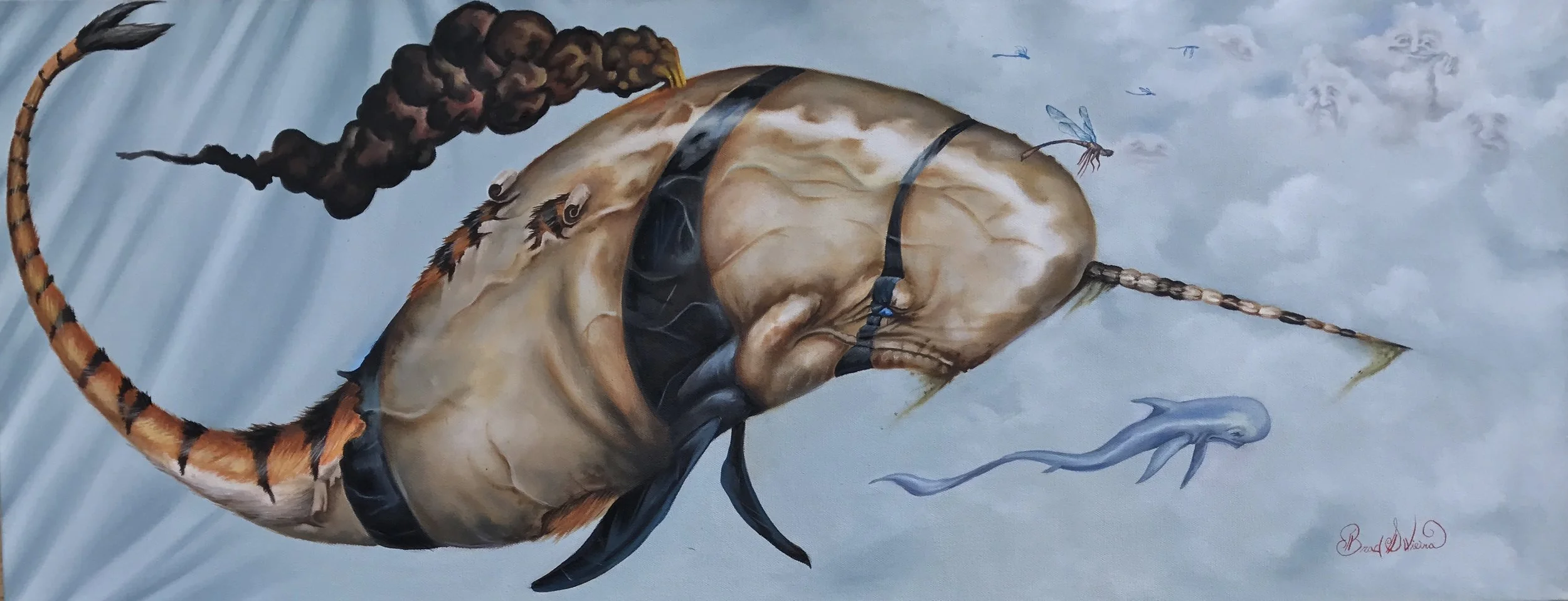Molting Of The Southern Narwhal