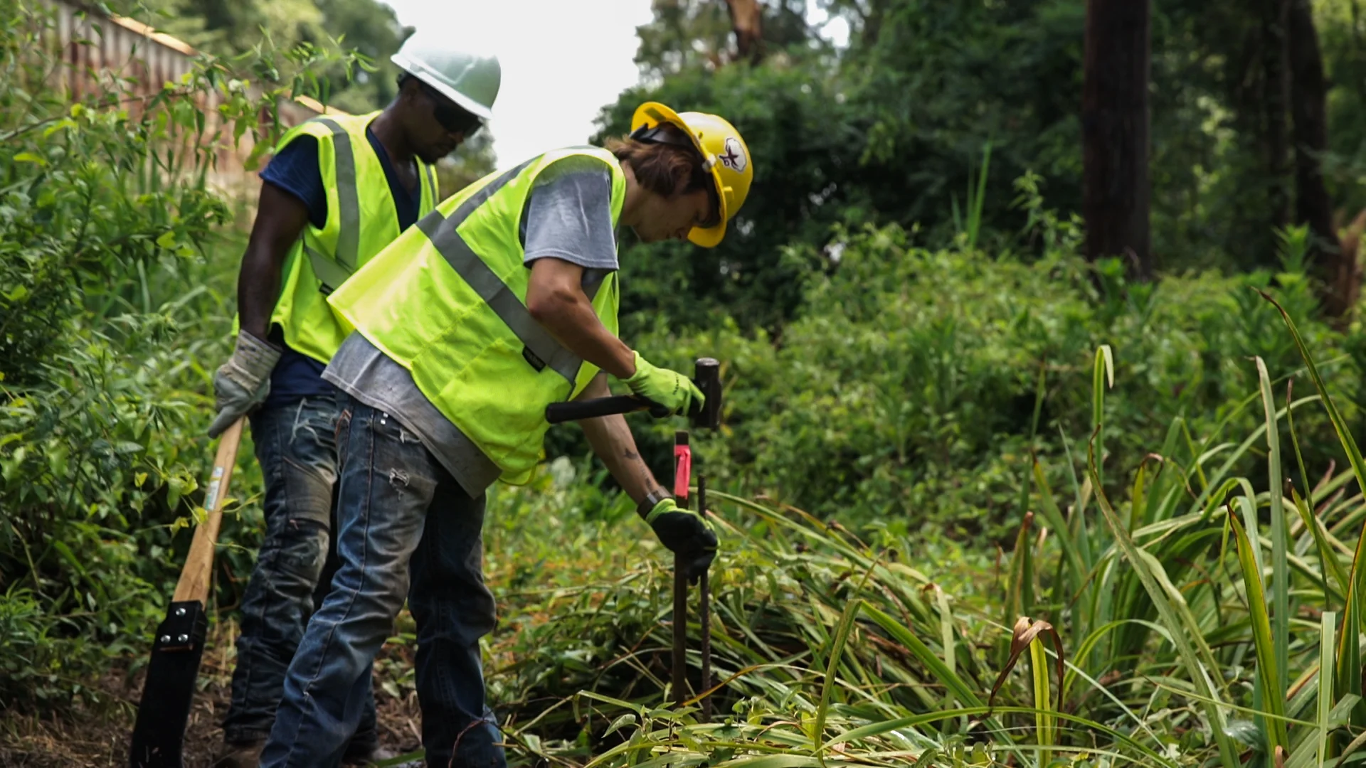 Workers 2.jpg