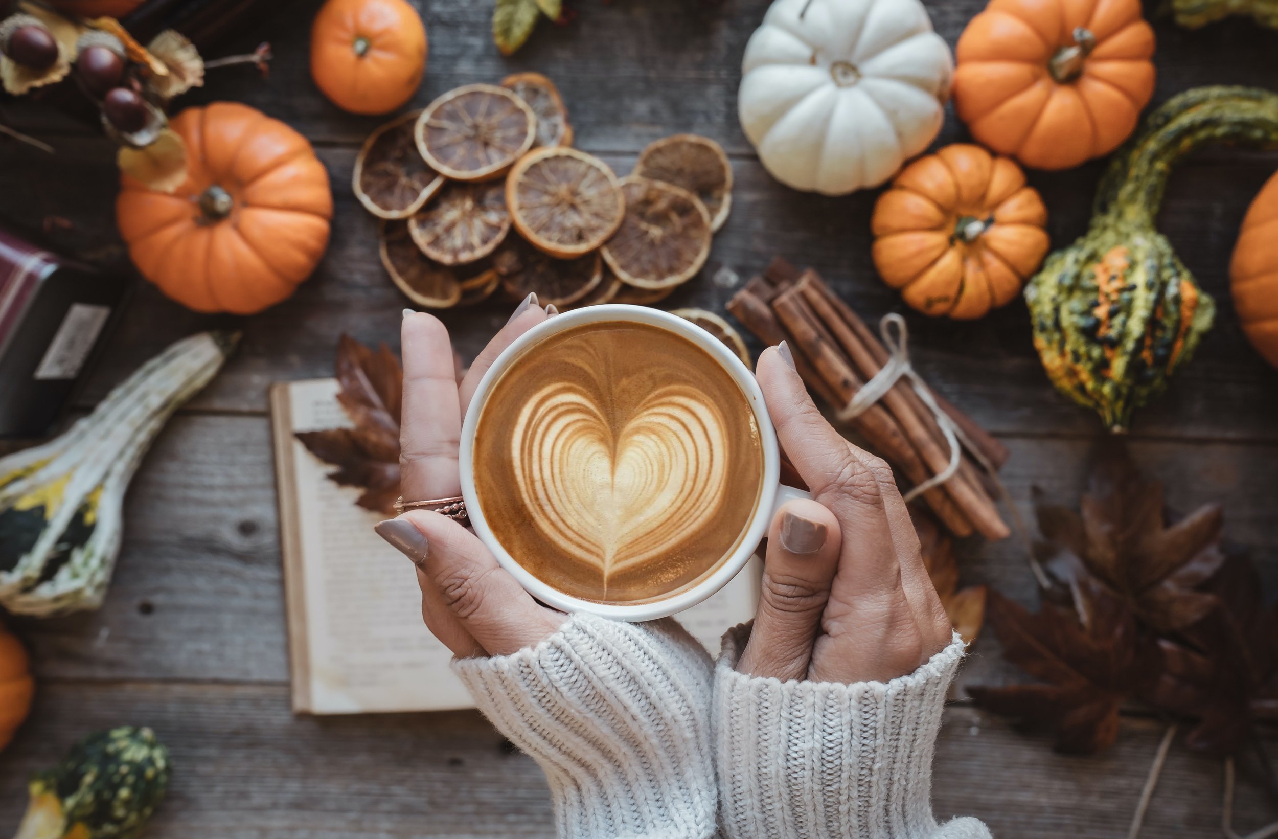 7 inspiring and ultra-autumnal fundraising ideas for Fall 2022