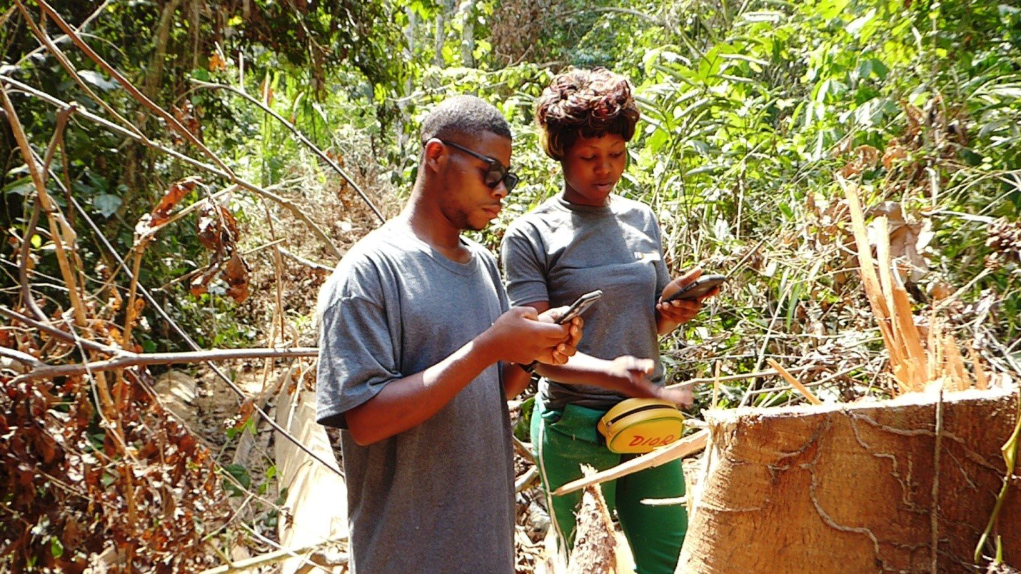 community forest monitors at work - real-time monitoring project (1).jpg