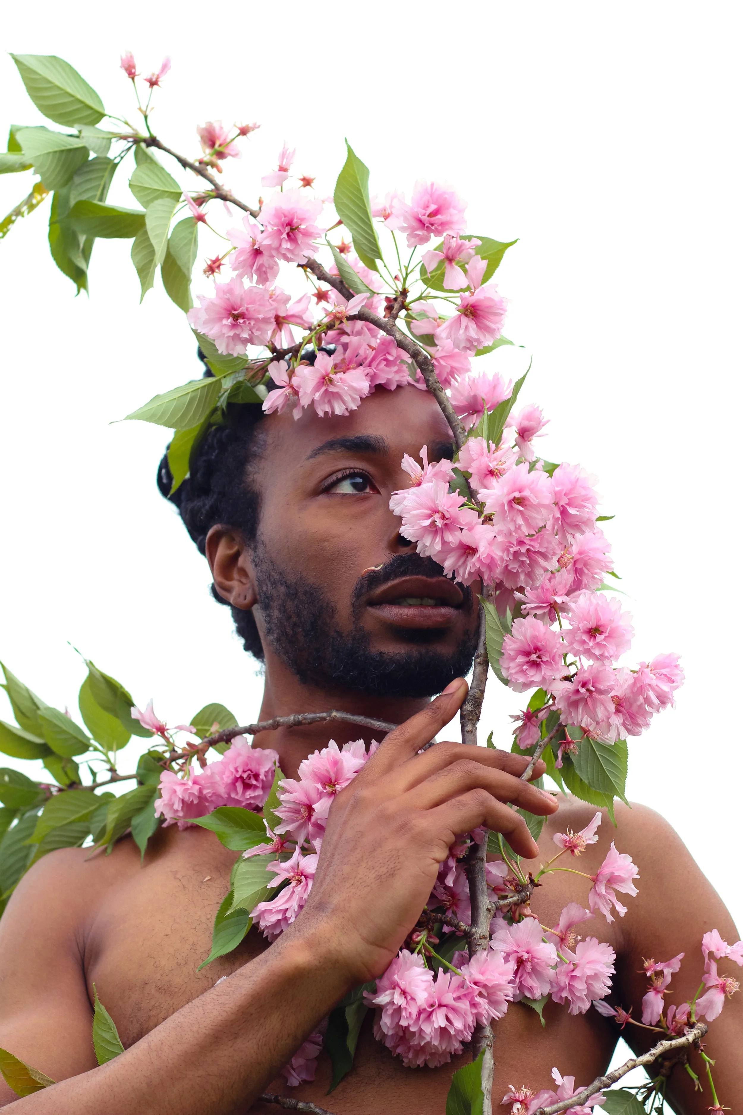 TajhBlossom (25 of 33).jpg