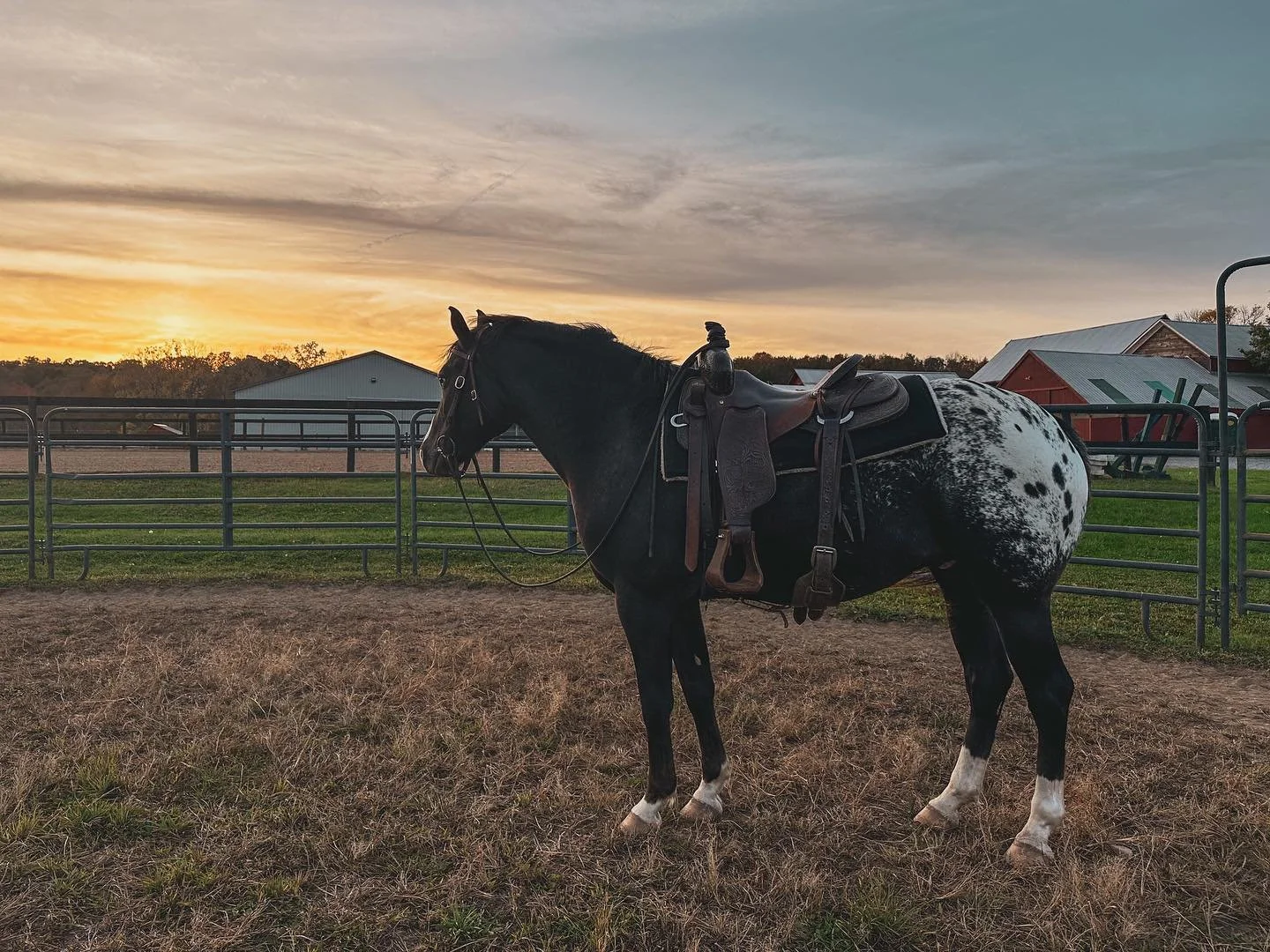 Wrapping up training season 🍂☀️ this appy got all the dramatic sunset pics.