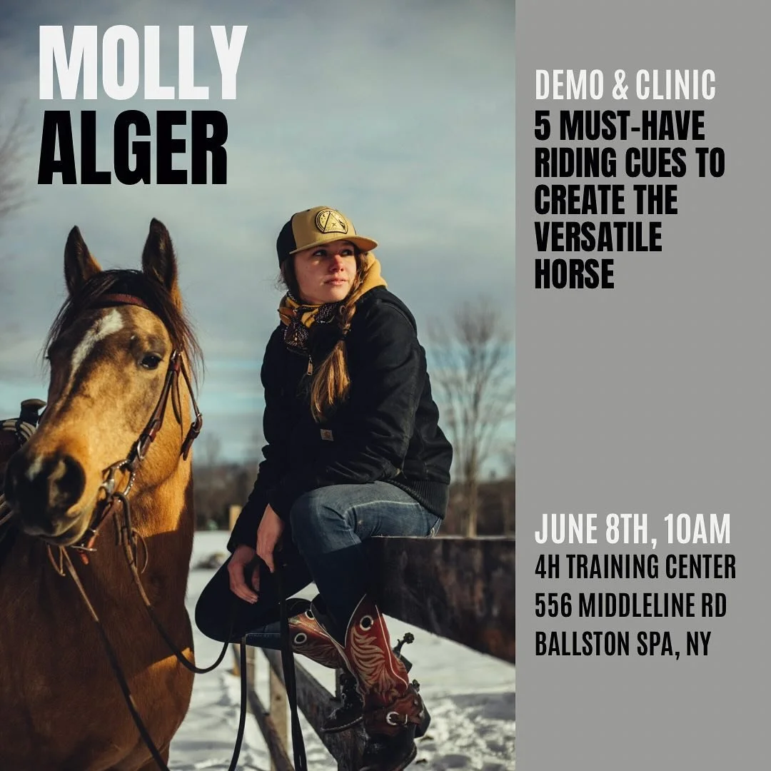 Reemerging on socials!! First thing to let you know: this mini clinic and demo is happening this Saturday of Belmont weekend in New York with @ccesaratoga Equine.
Come out, meet me and Odessa, watch the riding demo at 10am this Saturday&hellip;and st