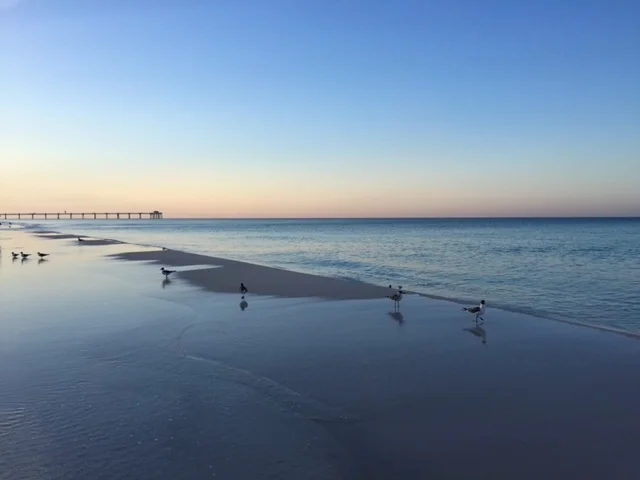 But You Picked Me…