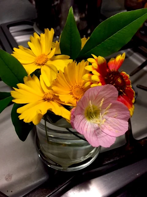 Dying Flowers and The Water of Life