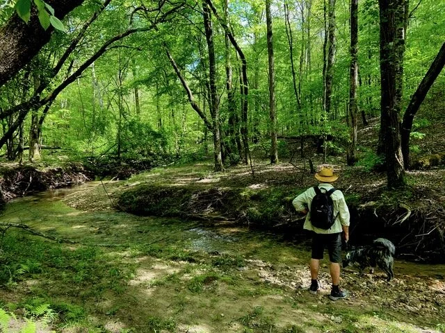 Still Here, Pursuing Peace