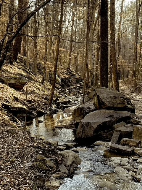 In the Wilderness with the Devil