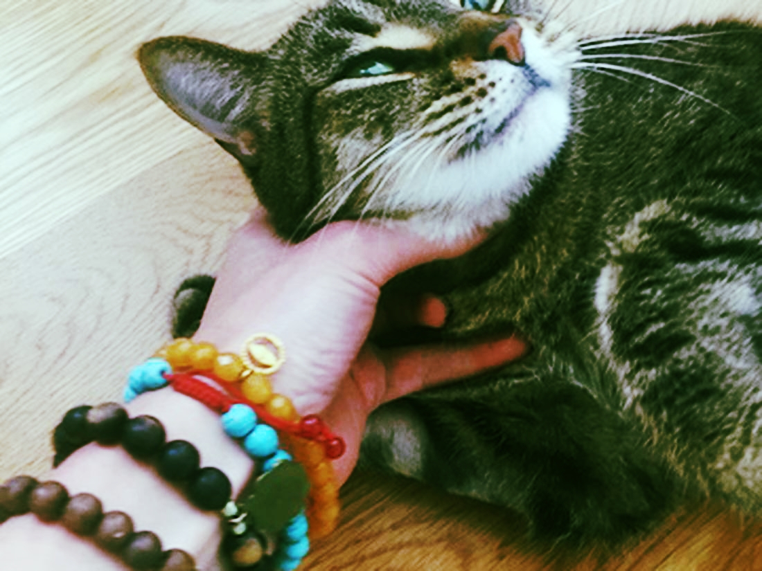 Venus receives neck rubs