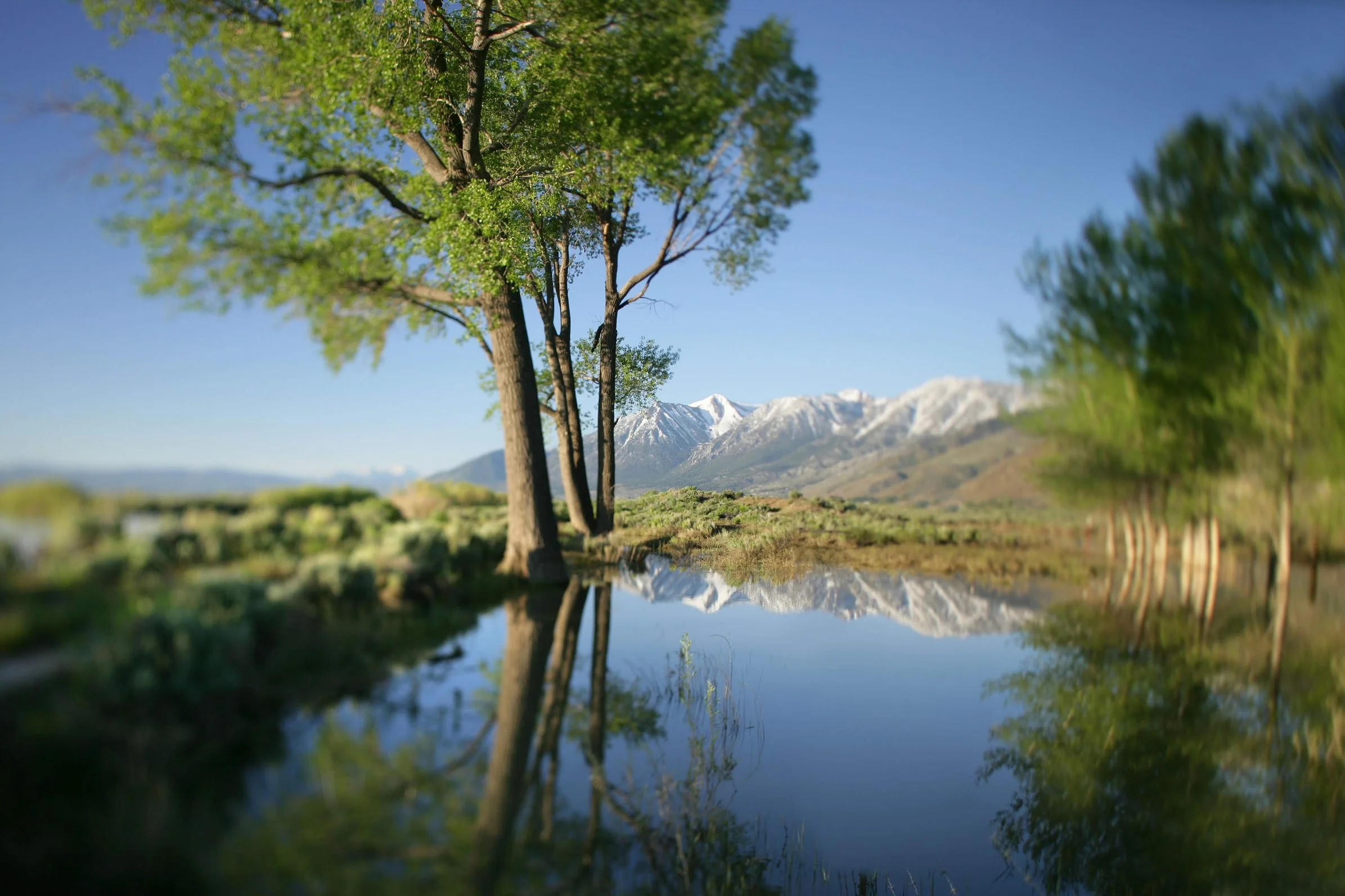 100_0372washoe vally landscape.jpg