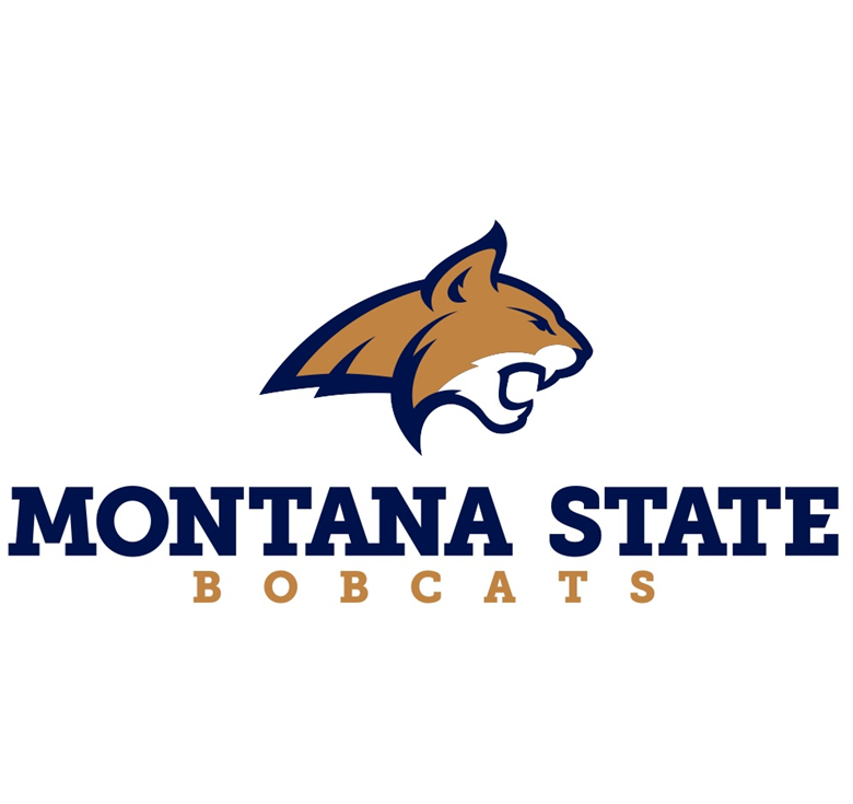 montana state.PNG