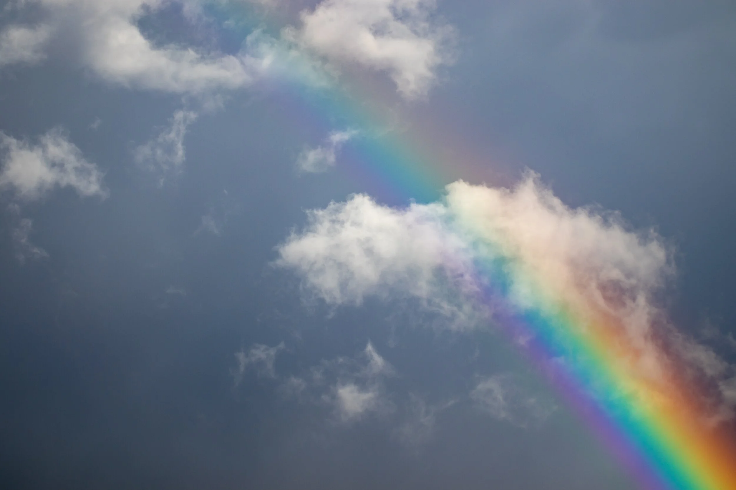 Chasing the promises of God.