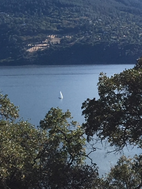 Lake County Photo.png