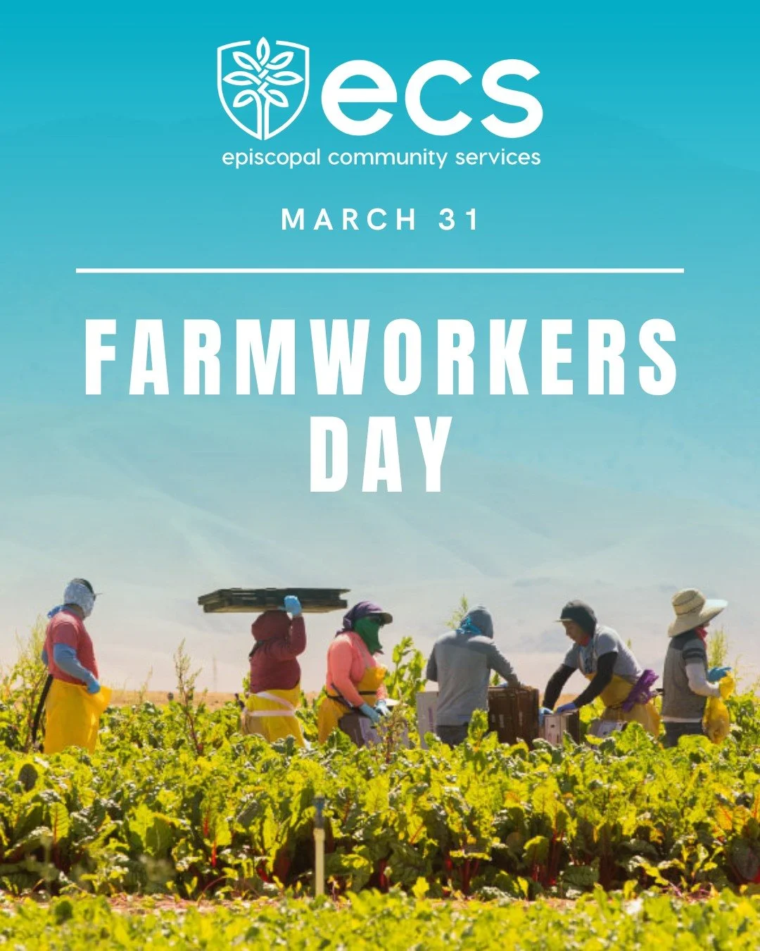 Today, we honor the farmworkers whose dedication keeps our communities nourished and thriving.

We recognize their contributions and the importance of ensuring all workers are treated with dignity, respect, and care.

#ECSsandiego