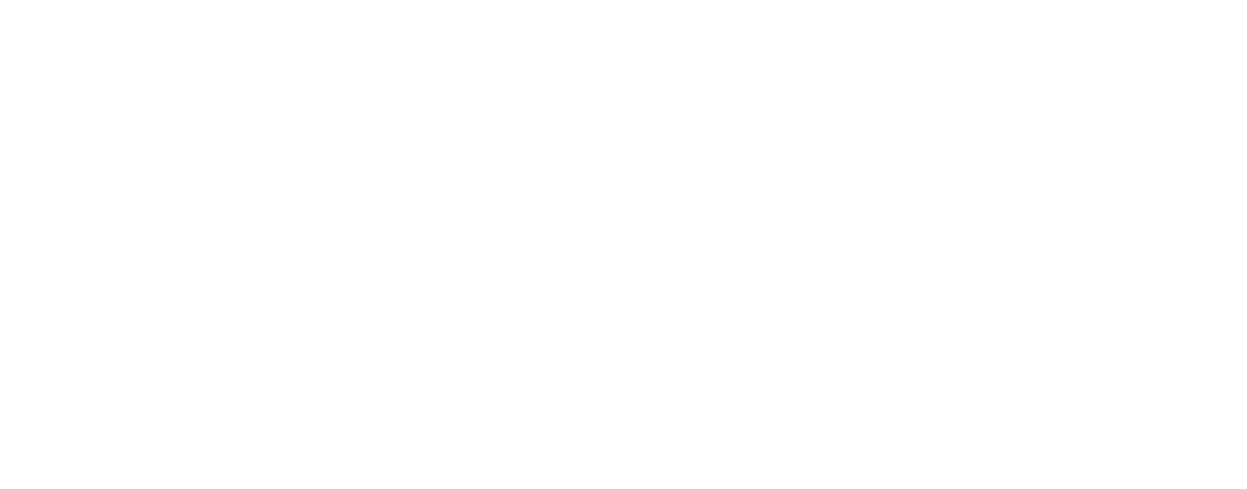 PohlmannVogel_02.png