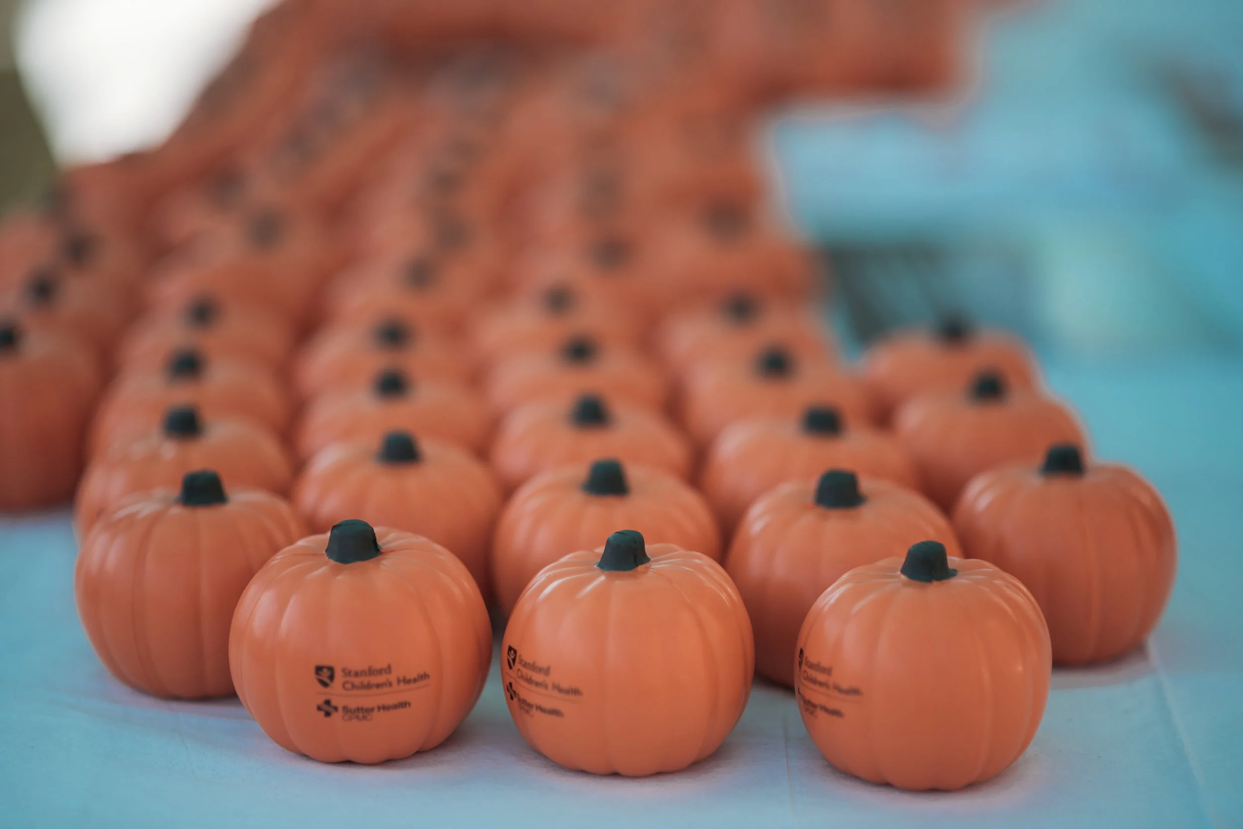 FallFest2018-103.jpg