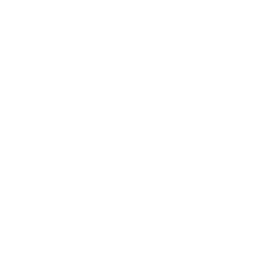EJ_PRIMARY BOUDOIR LOGO_300DPI_WHITE.png
